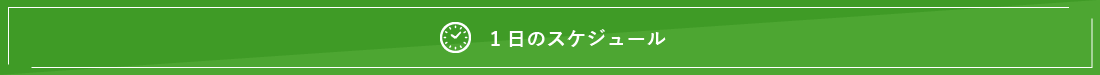 1日のスケジュール