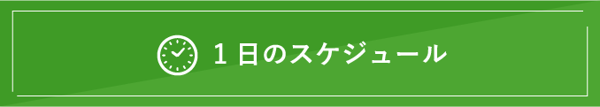 1日のスケジュール